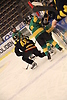 AIK-Björklöven