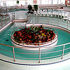Aquapark