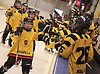 Rutvik-AIK
