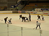 Skellefteå AIK-Sundsvall HC