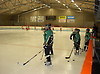 Björklöven Svart