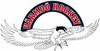 home team logo